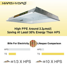 Load image into Gallery viewer, Mars Hydro TS 1000